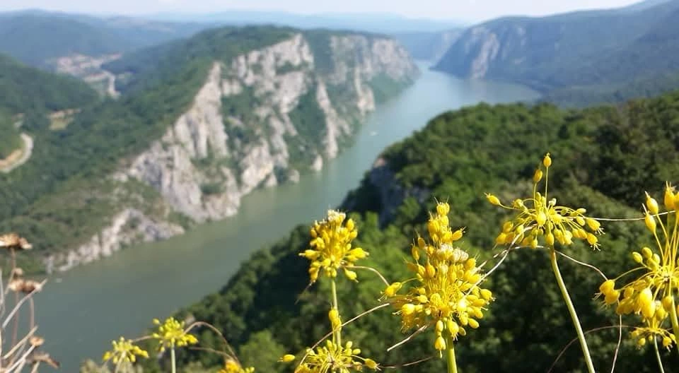 slika-4